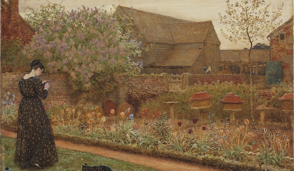 Küçük Prens Irmak Çelik