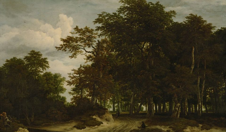 barut yankısı ırmak çelik